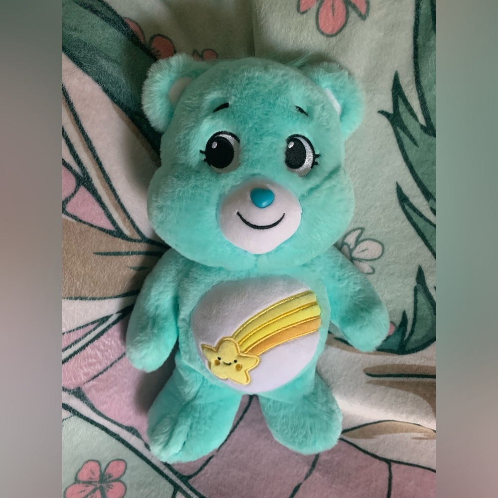 Care Bears Wish bear plush